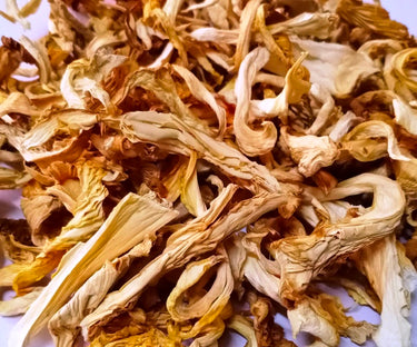 Sun Dried Oyster Mushrooms : 80 Gms